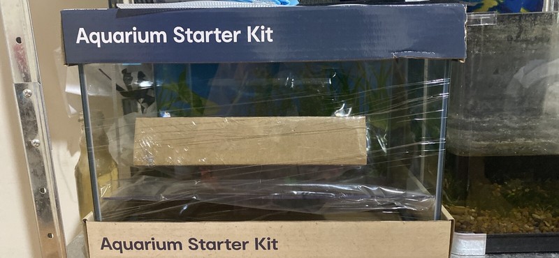 kmart guinea pig starter kit